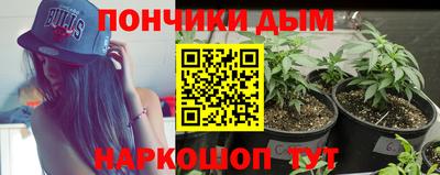 спиды Обь