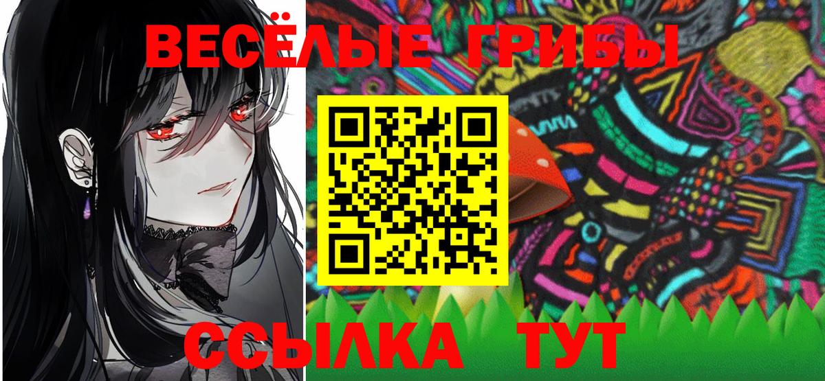 Псилоцибиновые грибы мицелий  закладка  Таганрог  Вход с VPN 